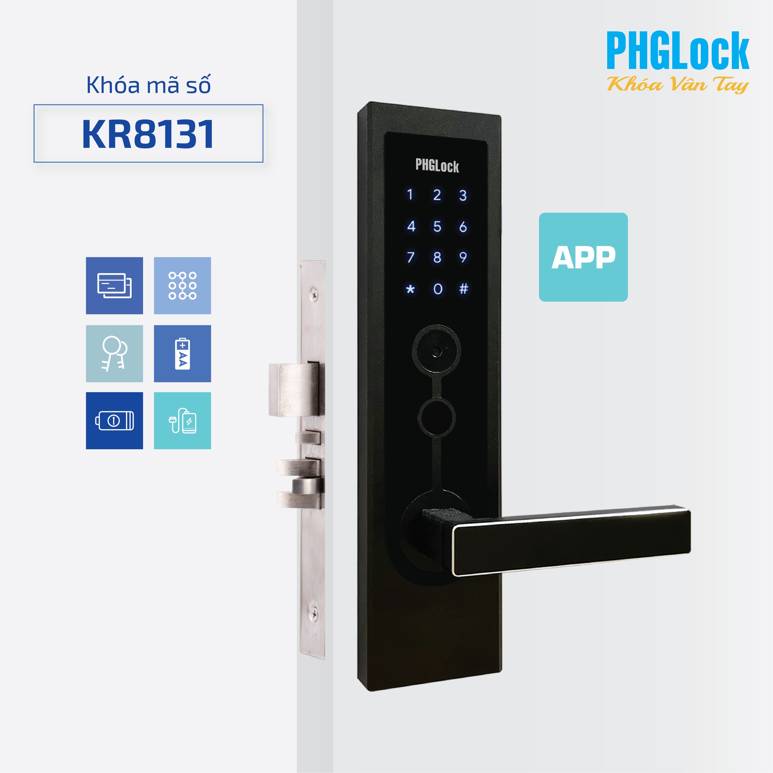 KR8131.jpg