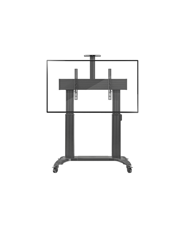 image-0-NB-TW100-300x300.jpg